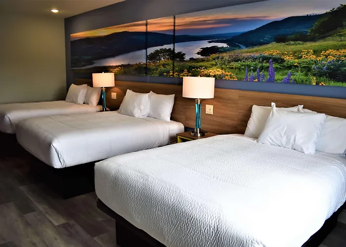Days Inn & Suites By Wyndham Downtown/University Of Houston