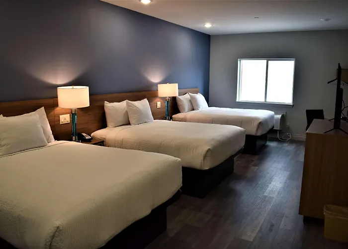 Days Inn & Suites By Wyndham Downtown/University Of Houston